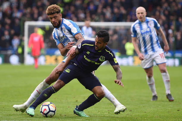 的冰球生态 的冰球生态