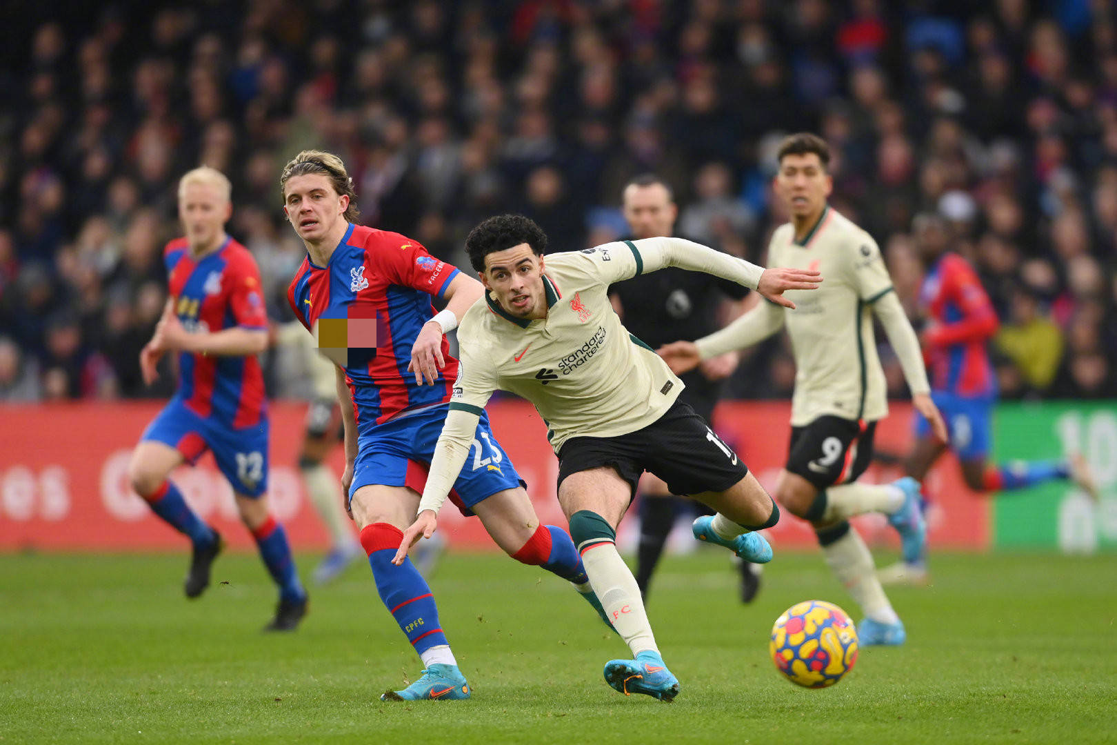 经验丰富的 经验丰富的