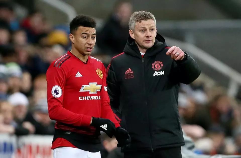 悟到足球的 悟到足球的